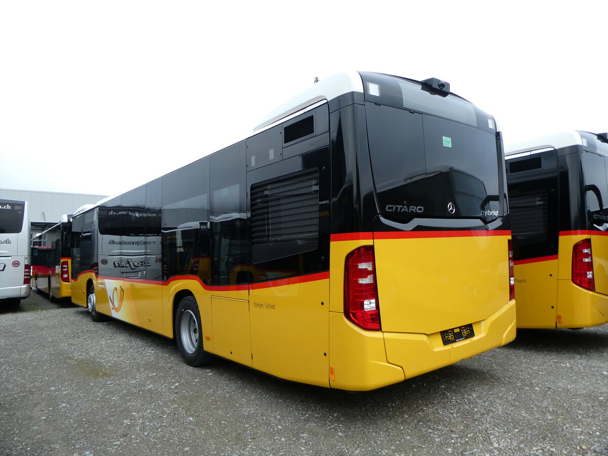 (230'790) - Steiger, Schlatt - Nr. 419 - Mercedes am 21. November 2021 in Winterthur, EvoBus