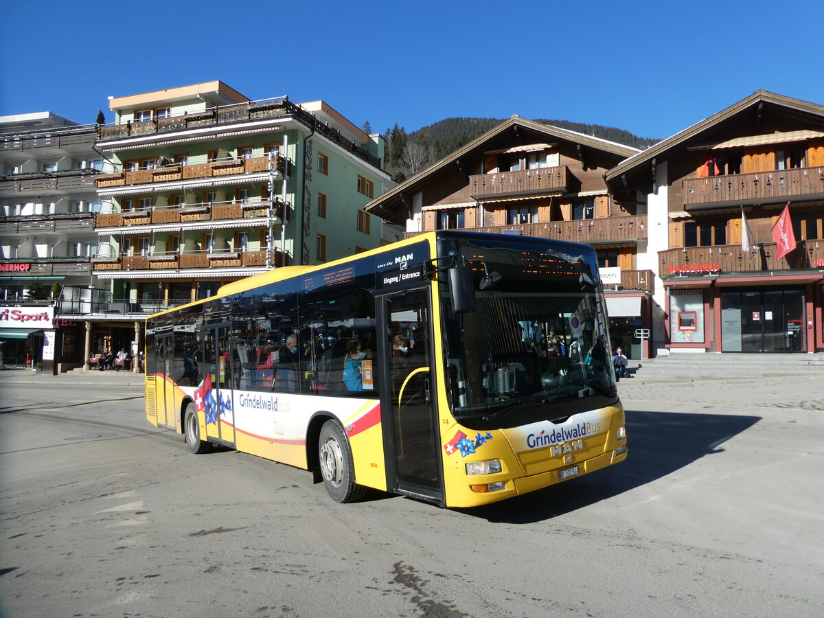 (232'875) - Grindelwaldbus, Grindelwald - Nr. 14/BE 202'568 - MAN/Gppel am 13. Februar 2022 beim Bahnhof Grindelwald