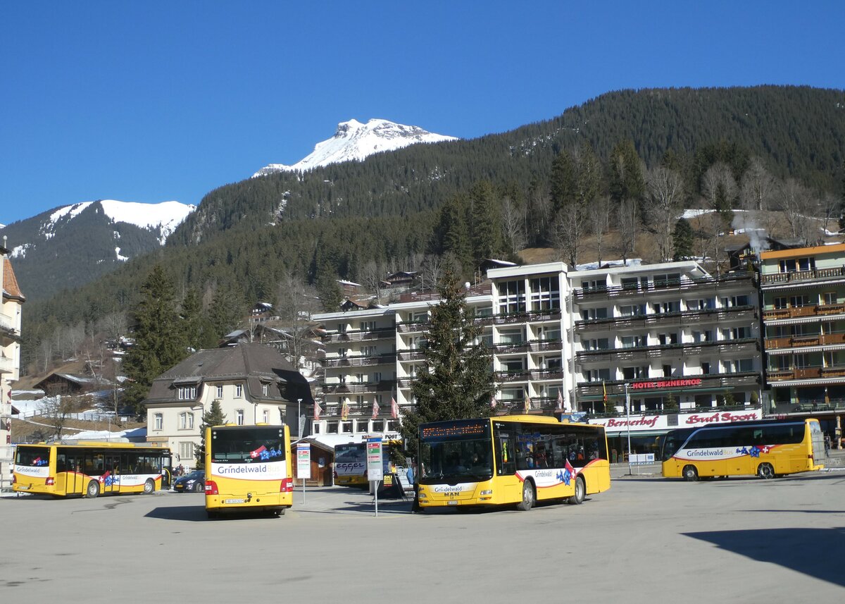 (233'239) - Grindelwaldbus, Grindelwald - Nr. 20/BE 349'361 + Nr. 19/BE 363'305 - MAN/Gppel am 27. Februar 2022 beim Bahnhof Grindelwald