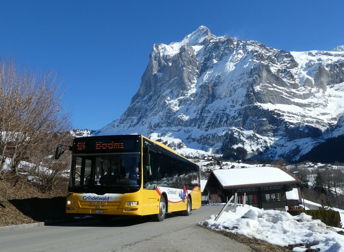 (233'263) - Grindelwaldbus, Grindelwald - Nr. 16/BE 28'821 - MAN am 27. Februar 2022 in Grindelwald, Panorama