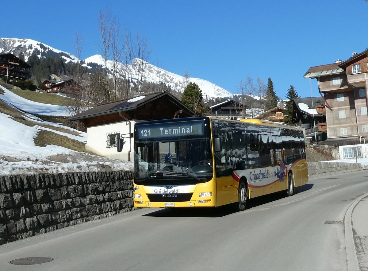 (233'281) - Grindelwaldbus, Grindelwald - Nr. 15/BE 525'871 - MAN am 27. Februar 2022 in Grindelwald, Kirche