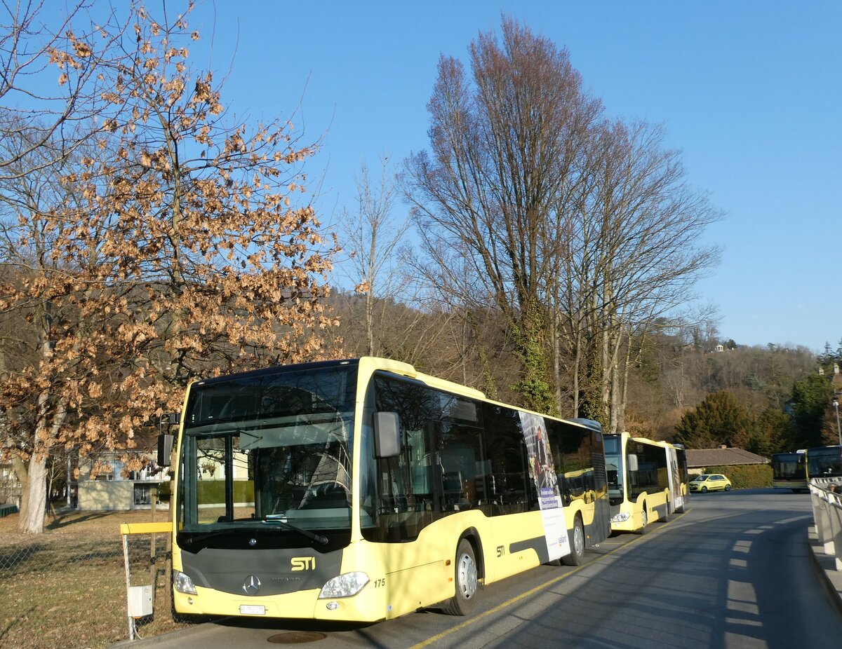 (233'366) - STI Thun - Nr. 175/BE 752'175 - Mercedes am 5. Mrz 2022 bei der Schifflndte Thun