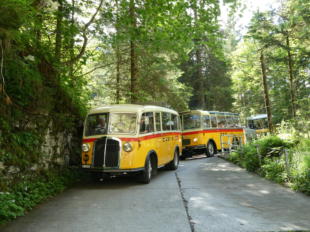 (237'692) - Schmid, Thrishaus - Nr. 3/BE 26'760 - Saurer/Gangloff (ex Geiger, Adelboden Nr. 3) am 26. Juni 2022 in Kiental, Tschingel