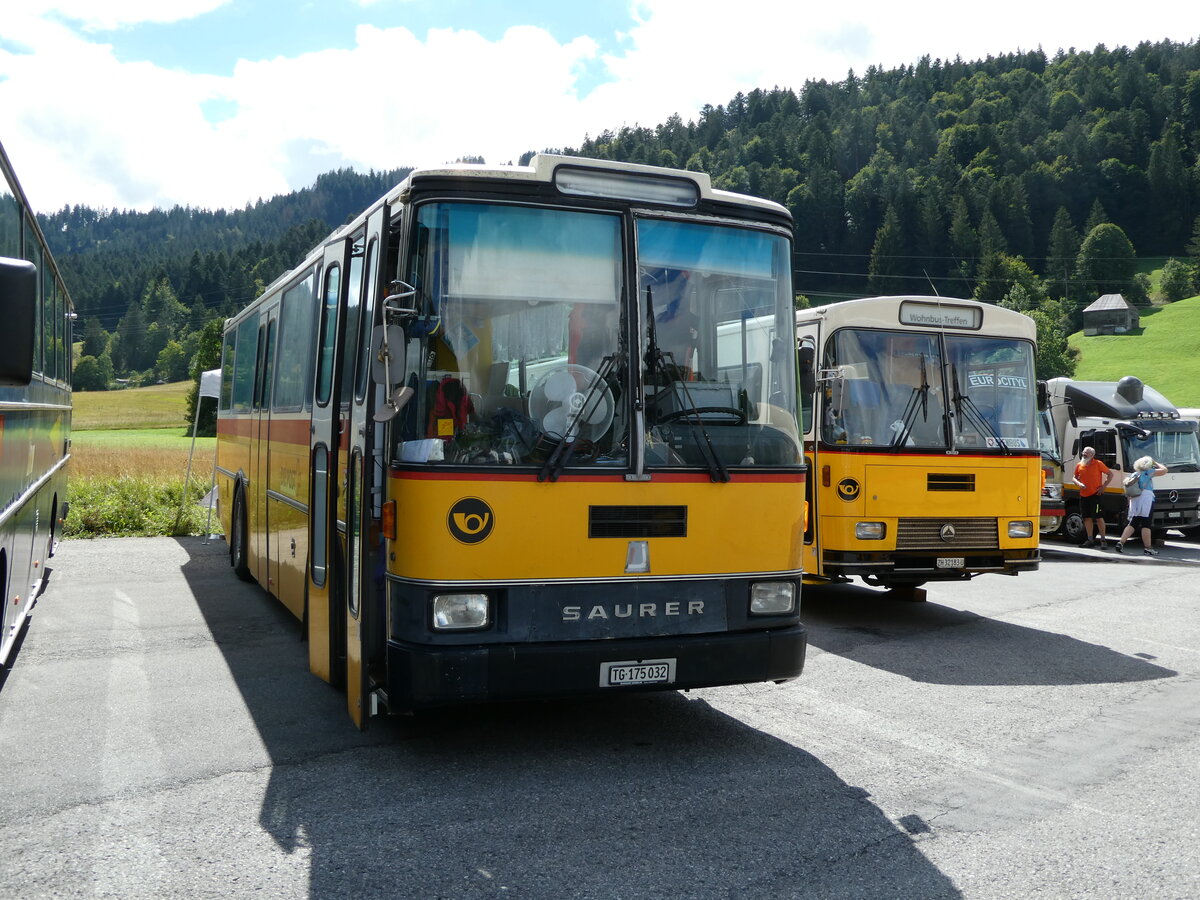 (239'174) - Schr, Ettenhausen - TG 175'032 - Saurer/R&J (ex Zimmermann, Kerns; ex Amstein, Willisau) am 20. August 2022 in Wildhaus, Munzenriet