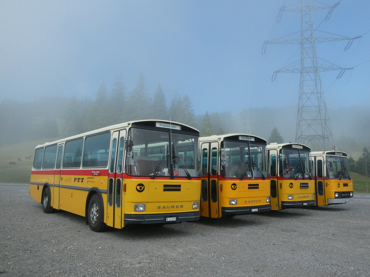 (239'771) - Krummenacher, Zillis - Nr. 74/BE 243'579 - Saurer/R&J (ex AVG Meiringen Nr. 74; ex PostAuto Berner Oberland; ex P 24'357) am 28. August 2022 in Stalden, Langis