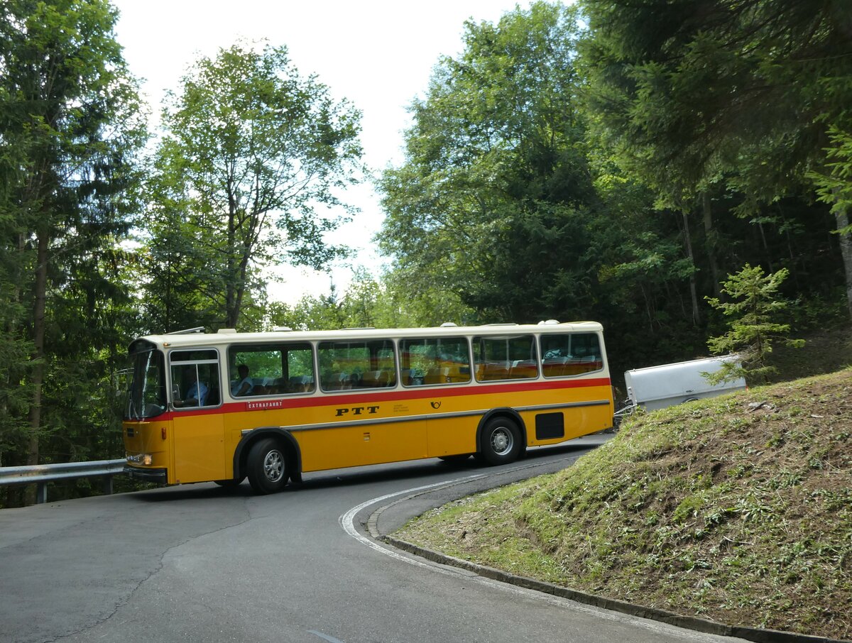 (239'838) - Schmid, Thrishaus - BE 26'206 - Saurer/Tscher (ex P 24'244) am 28. August 2022 in Giswil, Emmenwald