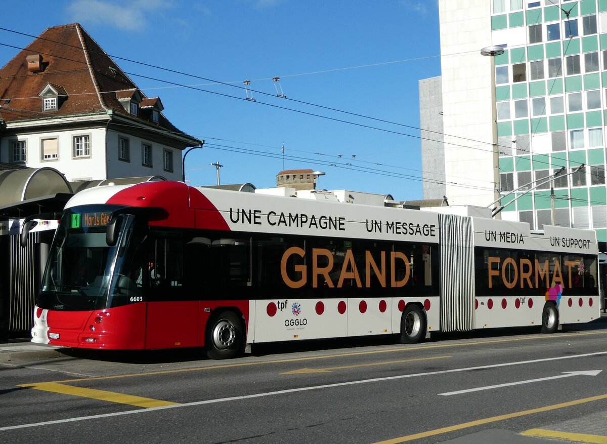 (242'388) - TPF Fribourg - Nr. 6603/FR 301'543 - Hess/Hess Gelenktrolleybus am 10. November 2022 beim Bahnhof Fribourg