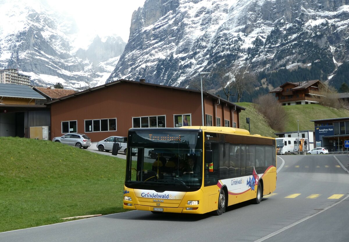 (248'816) - Grindelwaldbus, Grindelwald - Nr. 11/BE 261'865 - MAN/Gppel am 18. April 2023 in Grindelwald, Terminal