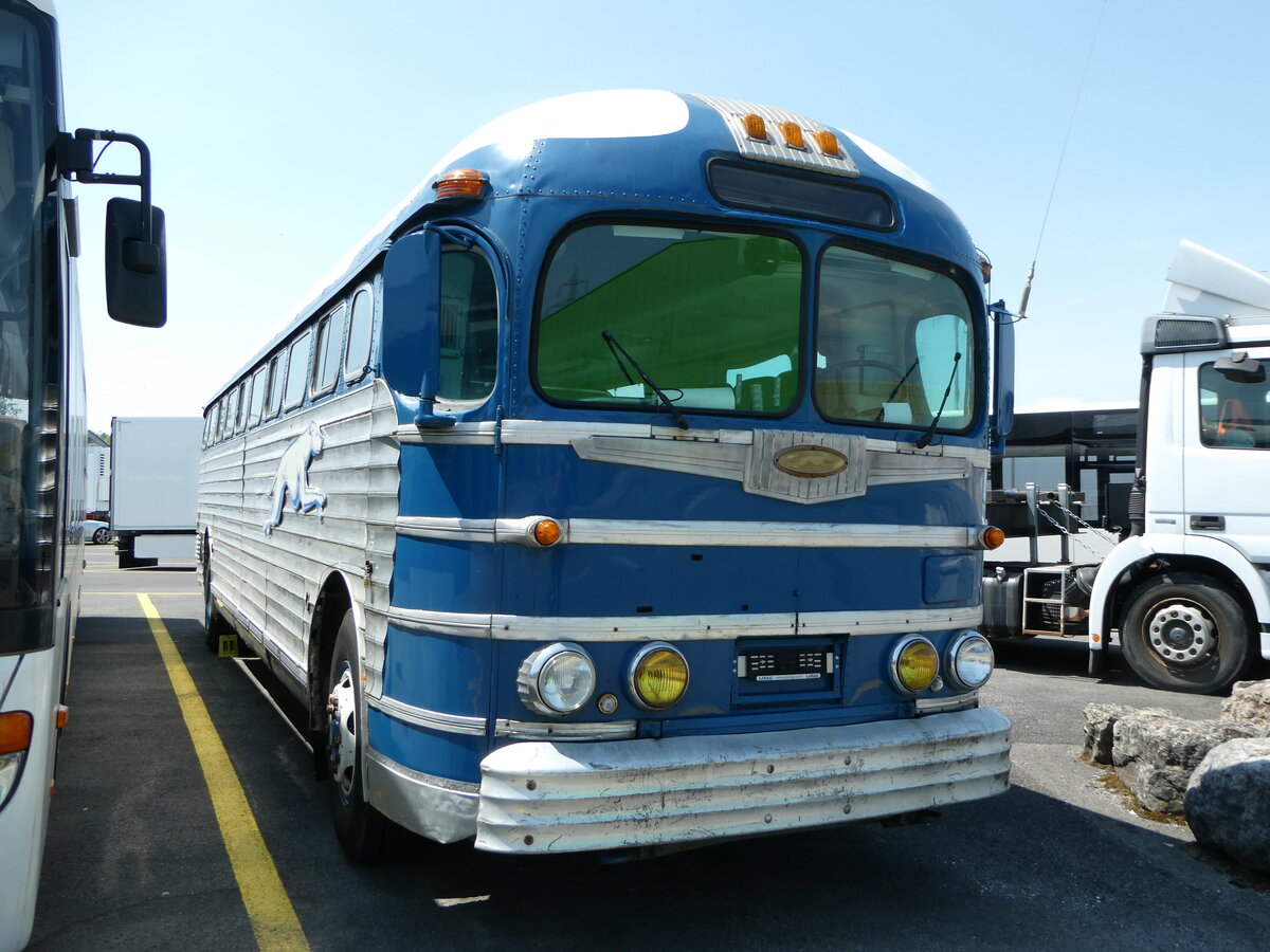 (251'588) - Greyhoundbus, Murten - GMC (ex Wooster, Zrich; ex Northland Greyhound Lines, USA-Minneapolis Nr. N796) am 17. Juni 2023 in Kerzers, Interbus