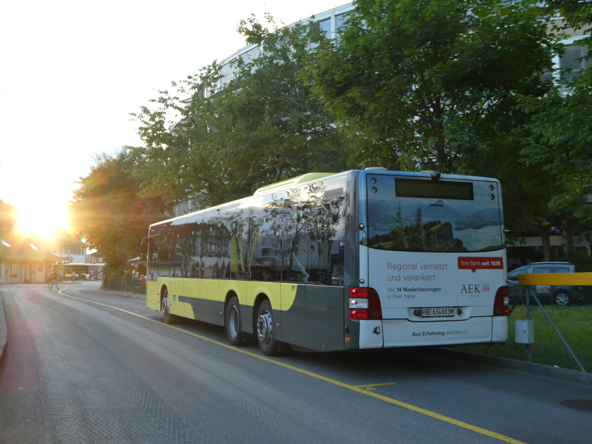 (253'266) - STI Thun - Nr. 603/BE 634'603 - MAN am 31. Juli 2023 bei der Schifflndte Thun