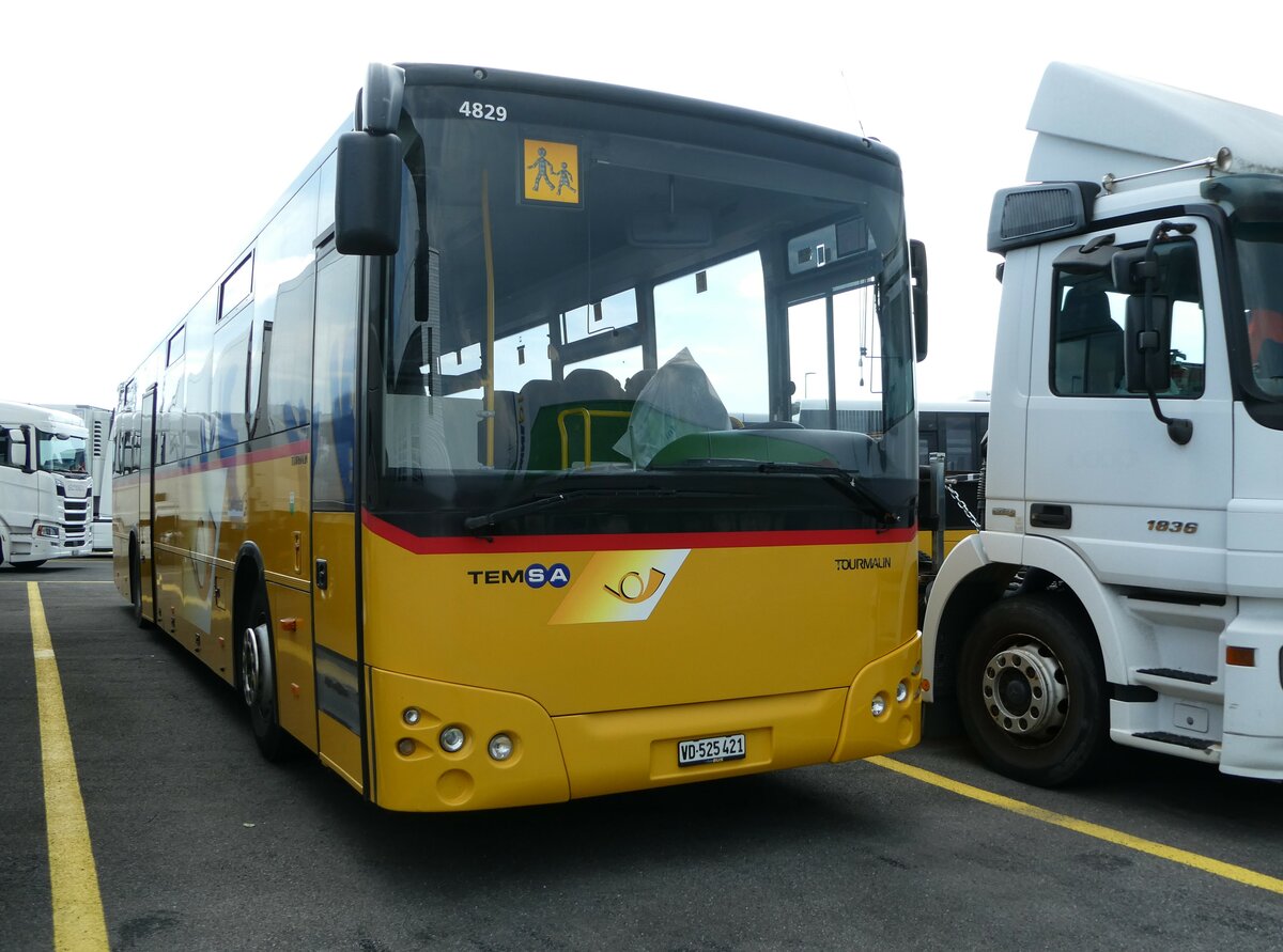 (253'781) - CarPostal Ouest - VD 525'421/PID 4829 - Temsa am 13. August 2023 in Kerzers, Interbus