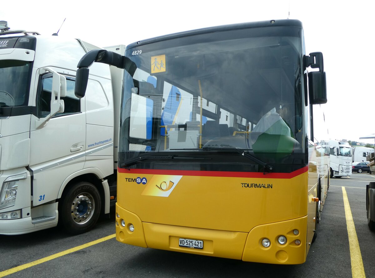 (253'782) - CarPostal Ouest - VD 525'421/PID 4829 - Temsa am 13. August 2023 in Kerzers, Interbus