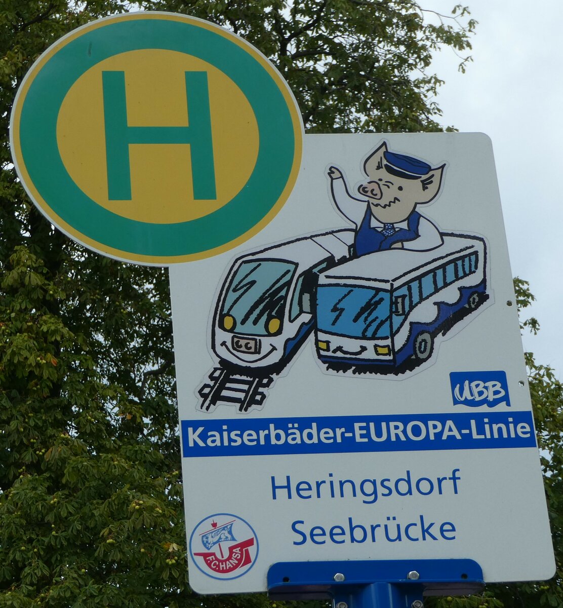 (254'457) - UBB-Haltestellenschild - Heringsdorf, Seebrcke - am 31. August 2023