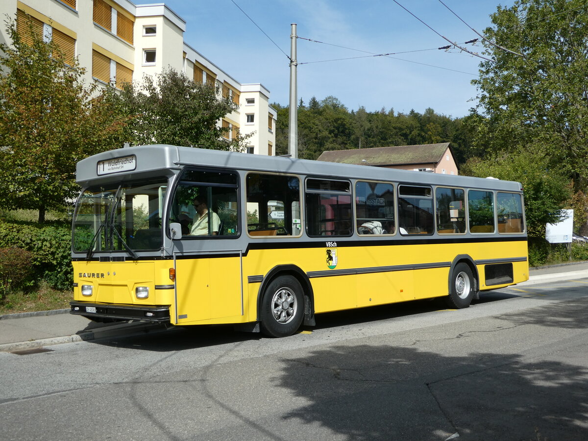 (255'288) - Wanner, Schleitheim - SH 48'096 - Saurer/Hess (ex Ruklic, Schaffhausen; ex VBSH Schaffhausen Nr. 40; ex VBSH Schaffhausen Nr. 19) am 17. September 2023 in Neuhausen, Herbstcker