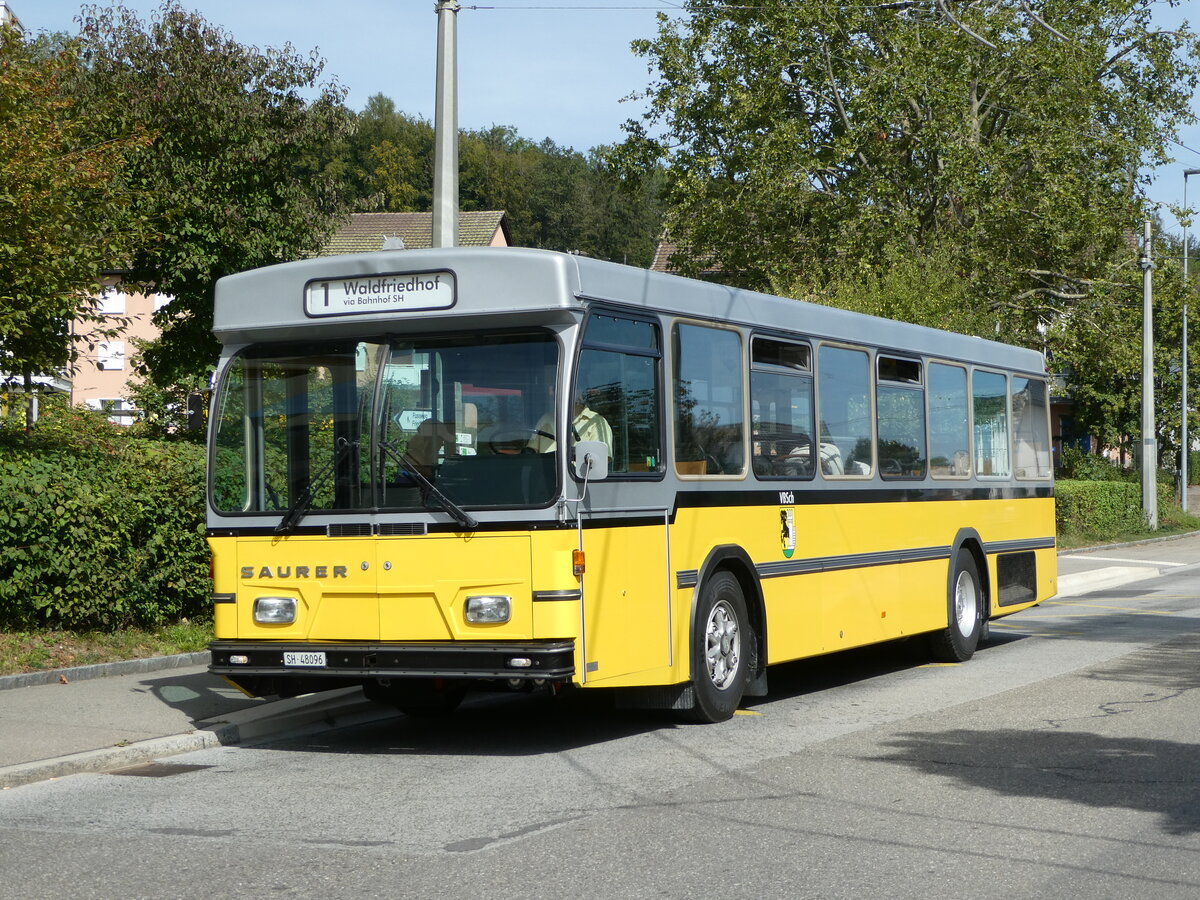 (255'289) - Wanner, Schleitheim - SH 48'096 - Saurer/Hess (ex Ruklic, Schaffhausen; ex VBSH Schaffhausen Nr. 40; ex VBSH Schaffhausen Nr. 19) am 17. September 2023 in Neuhausen, Herbstcker