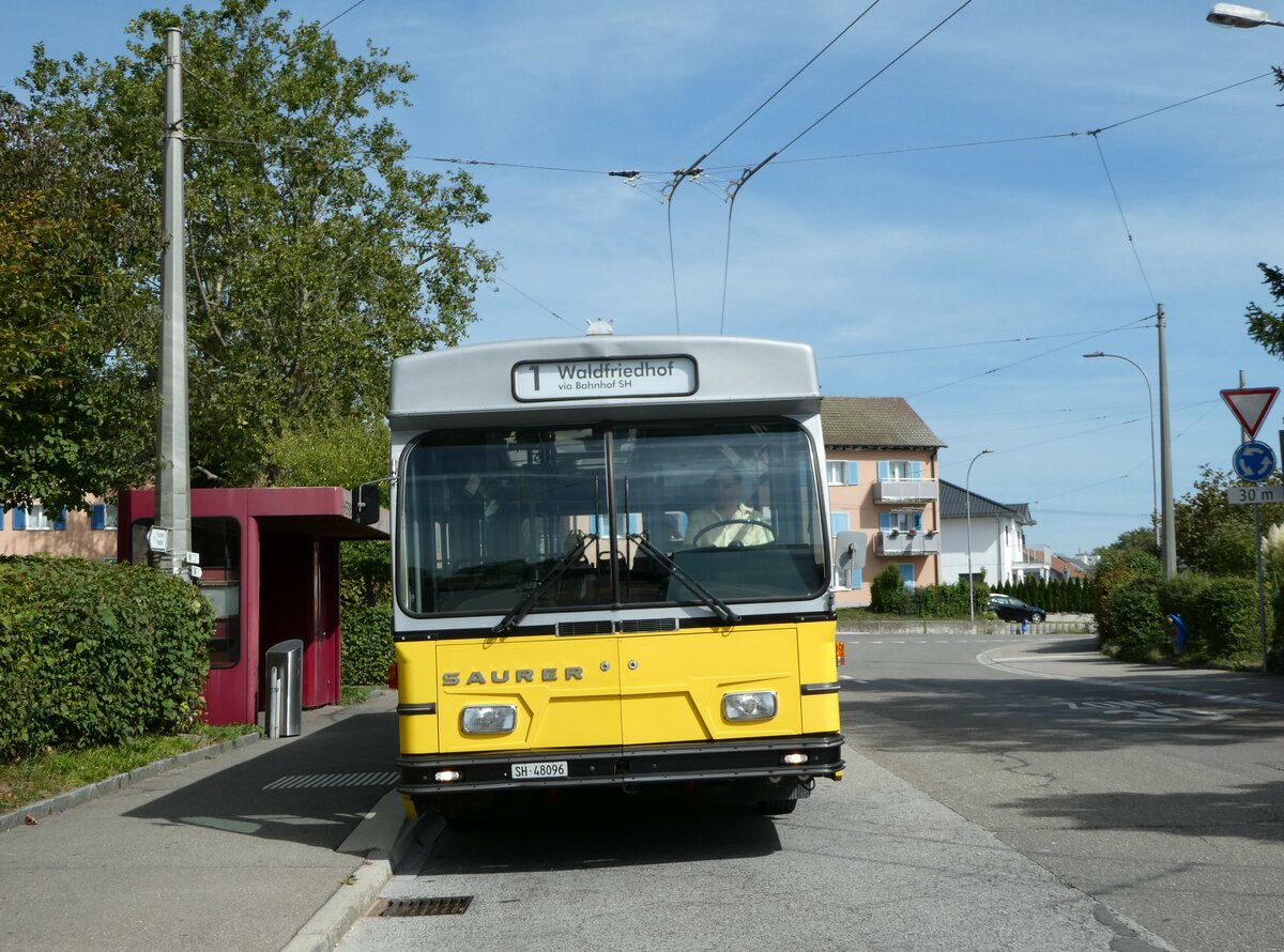 (255'291) - Wanner, Schleitheim - SH 48'096 - Saurer/Hess (ex Ruklic, Schaffhausen; ex VBSH Schaffhausen Nr. 40; ex VBSH Schaffhausen Nr. 19) am 17. September 2023 in Neuhausen, Herbstcker