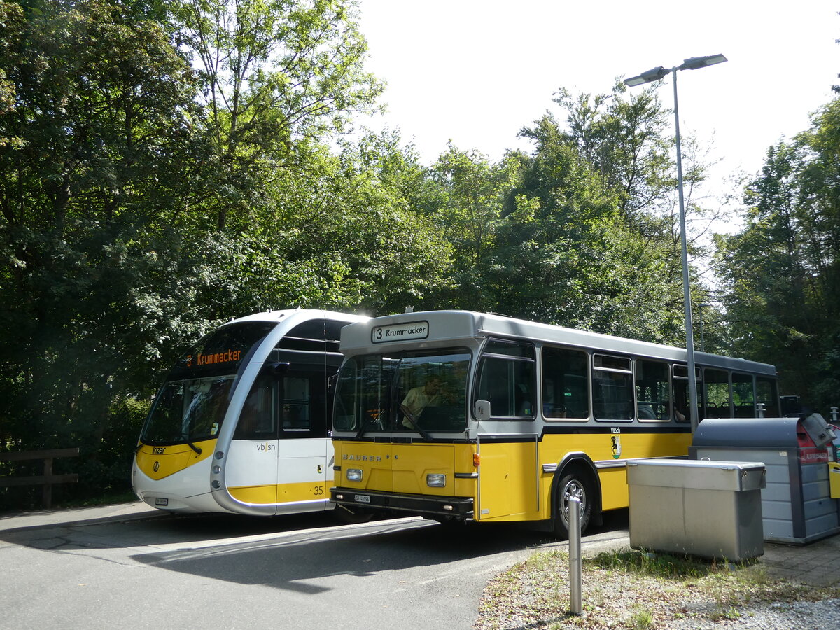 (255'298) - Wanner, Schleitheim - SH 48'096 - Saurer/Hess (ex Ruklic, Schaffhausen; ex VBSH Schaffhausen Nr. 40; ex VBSH Schaffhausen Nr. 19) am 17. September 2023 in Schaffhausen, Sommerwies (Teilaufnahme)