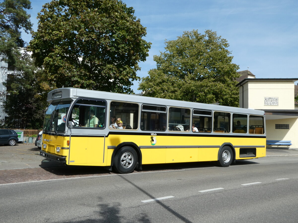 (255'306) - Wanner, Schleitheim - SH 48'096 - Saurer/Hess (ex Ruklic, Schaffhausen; ex VBSH Schaffhausen Nr. 40; ex VBSH Schaffhausen Nr. 19) am 17. September 2023 in Schaffhausen, Neubrunn