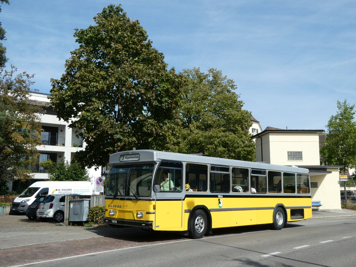 (255'308) - Wanner, Schleitheim - SH 48'096 - Saurer/Hess (ex Ruklic, Schaffhausen; ex VBSH Schaffhausen Nr. 40; ex VBSH Schaffhausen Nr. 19) am 17. September 2023 in Schaffhausen, Neubrunn