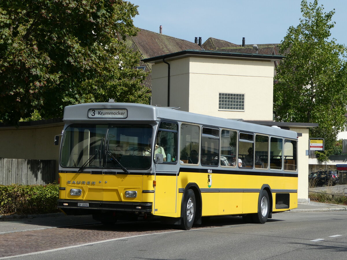 (255'311) - Wanner, Schleitheim - SH 48'096 - Saurer/Hess (ex Ruklic, Schaffhausen; ex VBSH Schaffhausen Nr. 40; ex VBSH Schaffhausen Nr. 19) am 17. September 2023 in Schaffhausen, Neubrunn