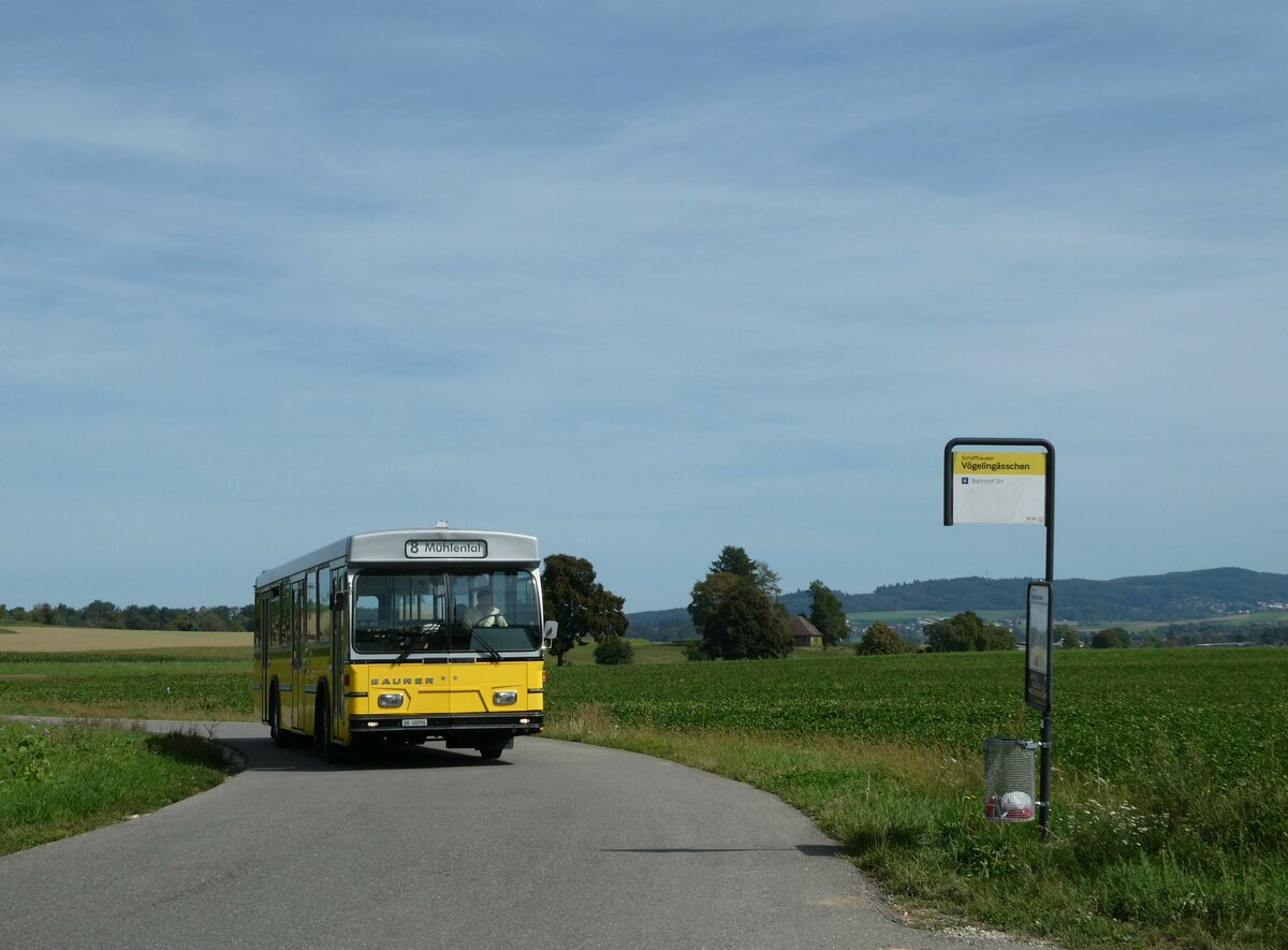 (255'322) - Wanner, Schleitheim - SH 48'096 - Saurer/Hess (ex Ruklic, Schaffhausen; ex VBSH Schaffhausen Nr. 40; ex VBSH Schaffhausen Nr. 19) am 17. September 2023 in Schaffhausen, Vgelingsschen