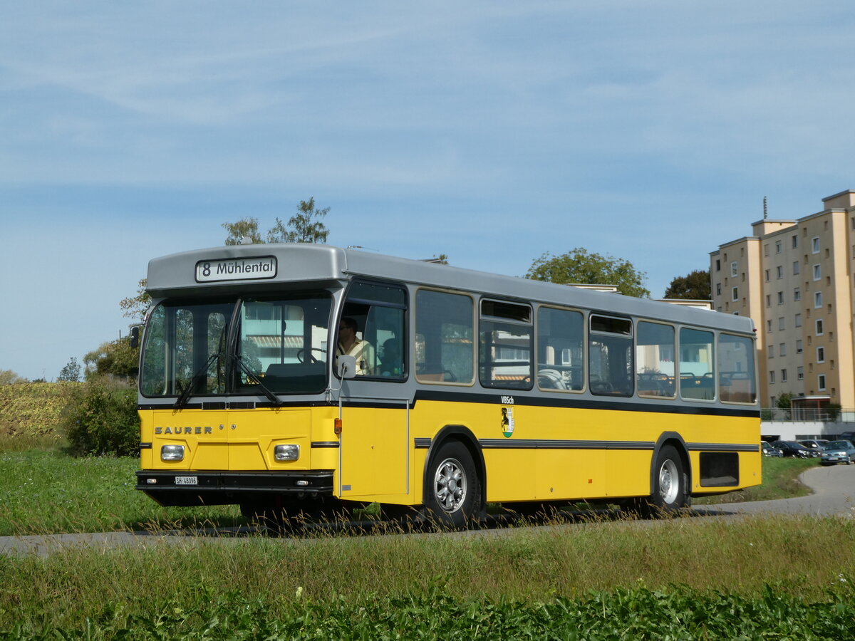 (255'326) - Wanner, Schleitheim - SH 48'096 - Saurer/Hess (ex Ruklic, Schaffhausen ; ex VBSH Schaffhausen Nr. 40; ex VBSH Schaffhausen Nr. 19) am 17. September 2023 in Schaffhausen, Vgelingsschen 