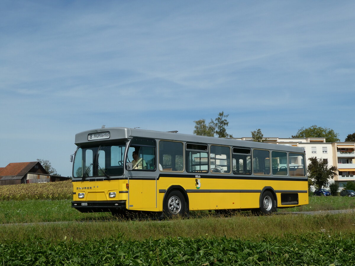 (255'327) - Wanner, Schleitheim - SH 48'096 - Saurer/Hess (ex Ruklic, Schaffhausen; ex VBSH Schaffhausen Nr. 40; ex VBSH Schaffhausen Nr. 19) am 17. September 2023 in Schaffhausen, Vgelingsschen