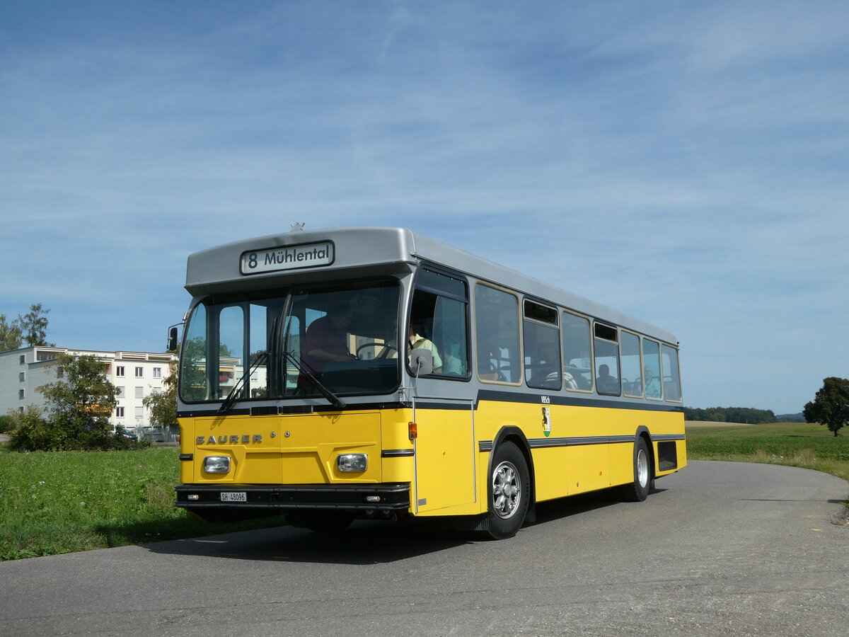 (255'330) - Wanner, Schleitheim - SH 48'096 - Saurer/Hess (ex Ruklic, Schaffhausen; ex VBSH Schaffhausen Nr. 40; ex VBSH Schaffhausen Nr. 19) am 17. September 2023 in Schaffhausen, Vgelingsschen