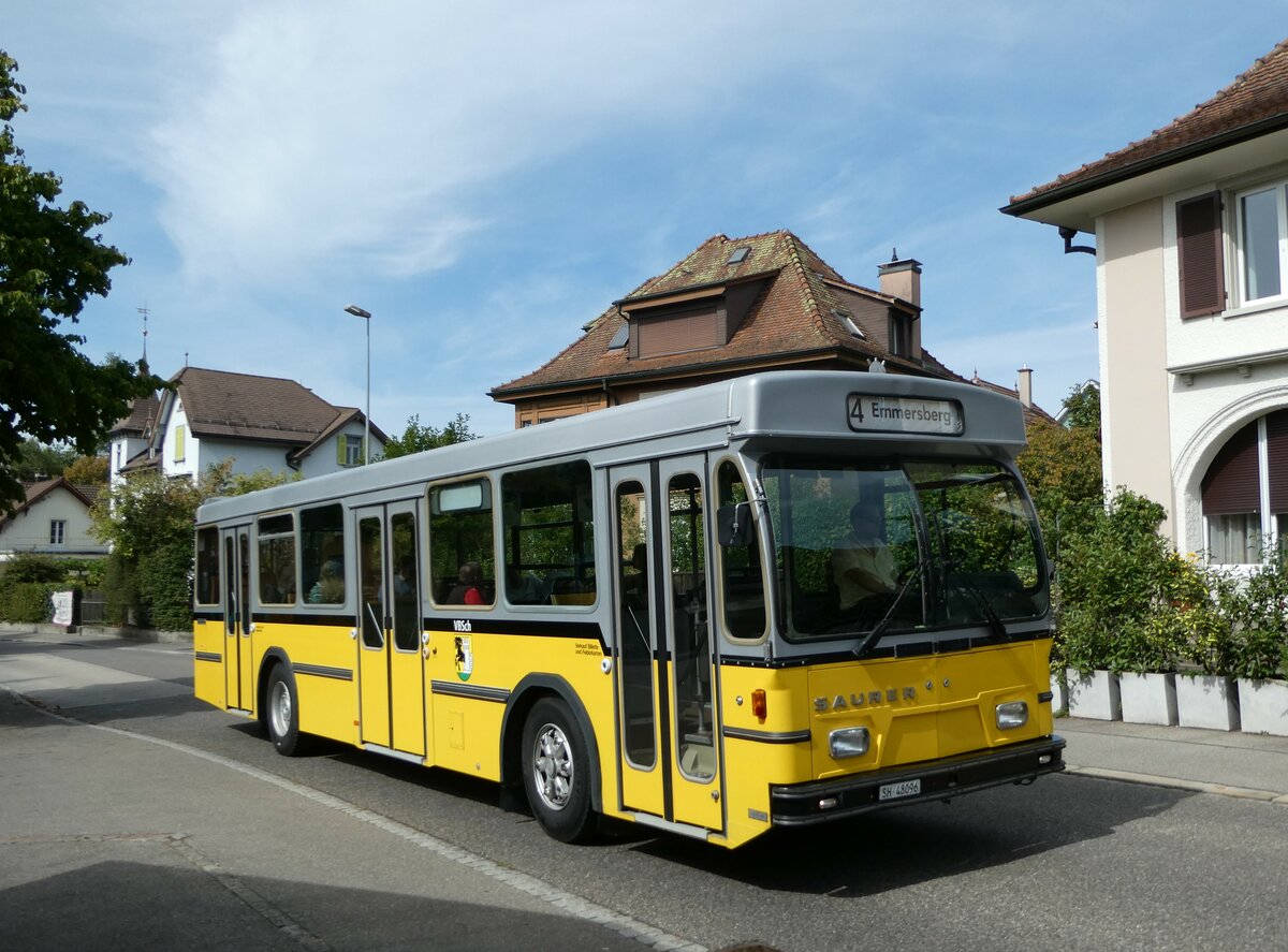 (255'344) - Wanner, Schleitheim - SH 48'096 - Saurer/Hess (ex Ruklic, Schaffhausen; ex VBSH Schaffhausen Nr. 40; ex VBSH Schaffhausen Nr. 19) am 17. September 2023 in Schaffhausen, Feldstrasse