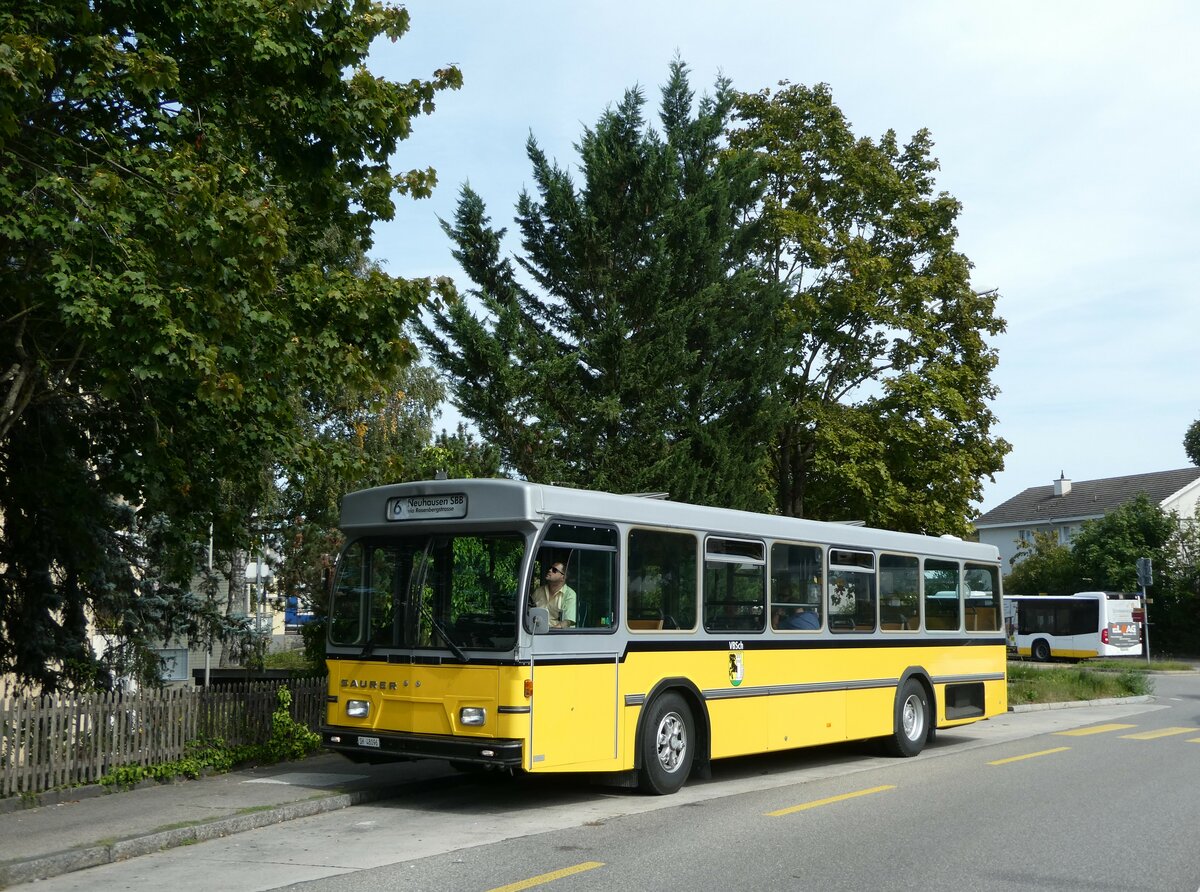 (255'345) - Wanner, Schleitheim - SH 48'096 - Saurer/Hess (ex Ruklic, Schaffhausen; ex VBSH Schaffhausen Nr. 40; ex VBSH Schaffhausen Nr. 19) am 17. September 2023 in Schaffhausen, Falkeneck