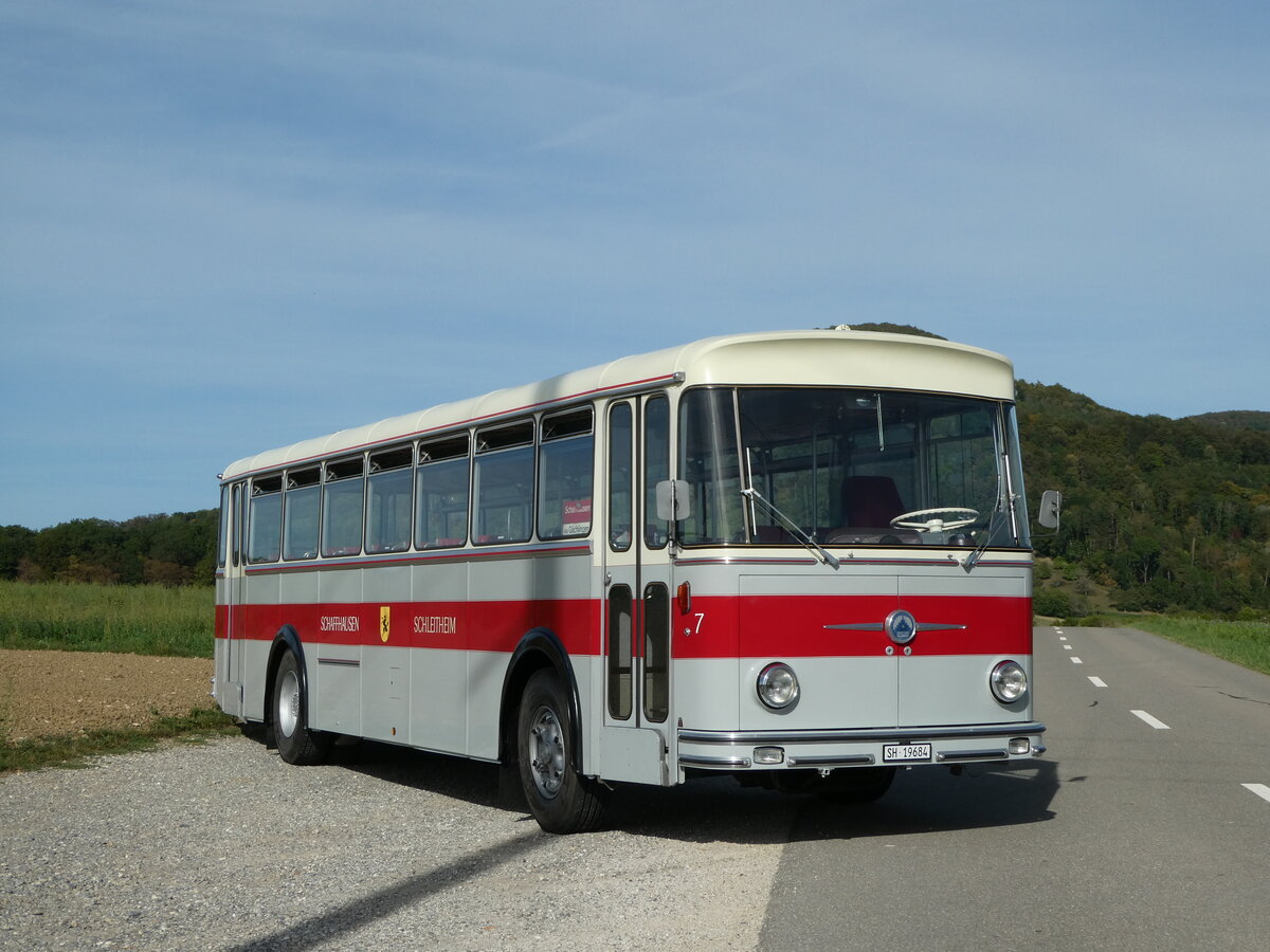 (255'390) - Borer, Neuhausen - Nr. 7/SH 19'684 - Saurer/Tscher (ex Heiniger, Btzberg; ex ASS Schleitheim Nr. 22; ex ASS Schleitheim Nr. 7) am 17. September 2023 in Siblingen, Siblinger Hhe