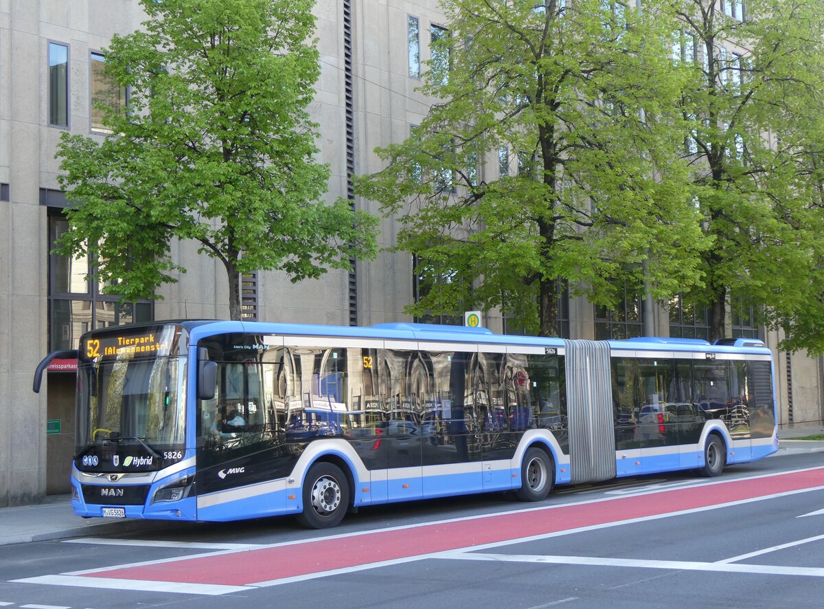 (261'299) - MVG Mnchen - Nr. 5826/M-VG 5826 - MAN am 14. April 2024 in Mnchen, Sendlinger Tor