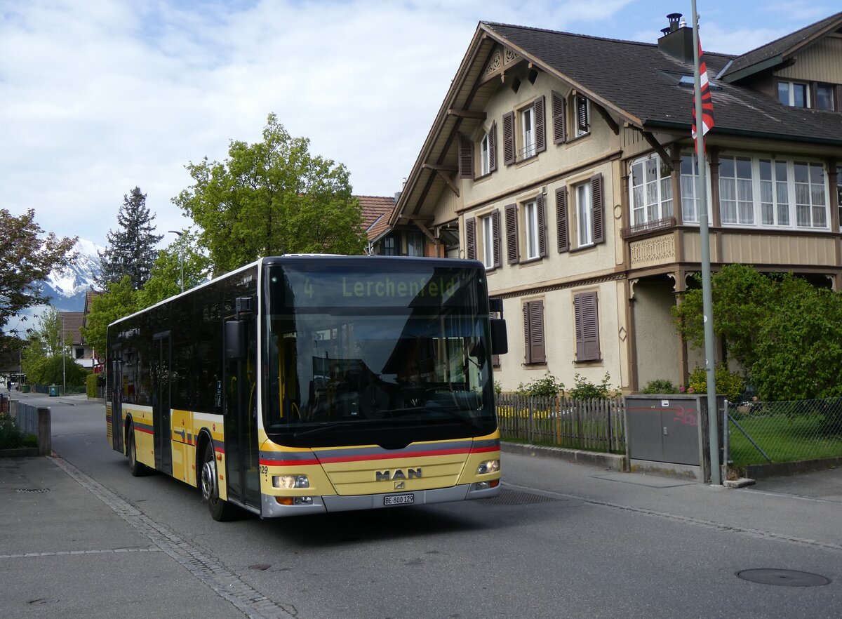 (261'813) - STI Thun - Nr. 129/BE 800'129 - MAN am 29. April 2024 in Thun-Lerchenfeld, Lerchenfeldstrasse