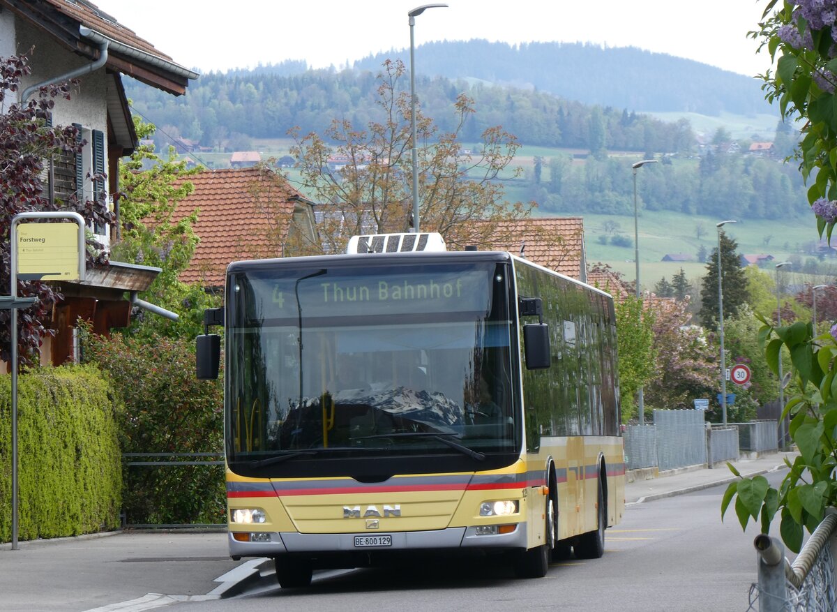 (261'815) - STI Thun - Nr. 129/BE 800'129 - MAN am 29. April 2024 in Thun-Lerchenfeld, Forstweg