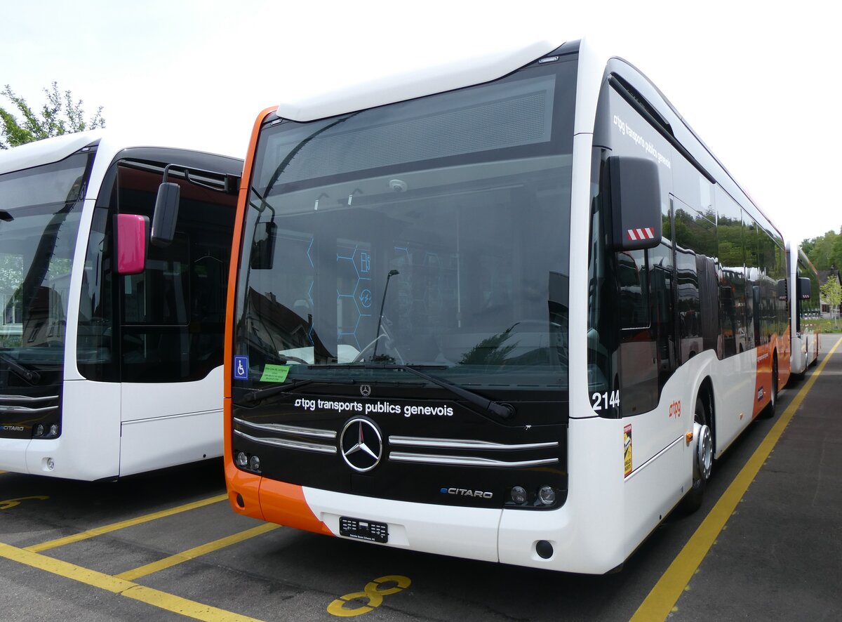 (262'117) - Globe-Limo, Le Lignon - Nr. 2144 - eMercedes am 4. Mai 2024 in Winterthur, Daimler Buses