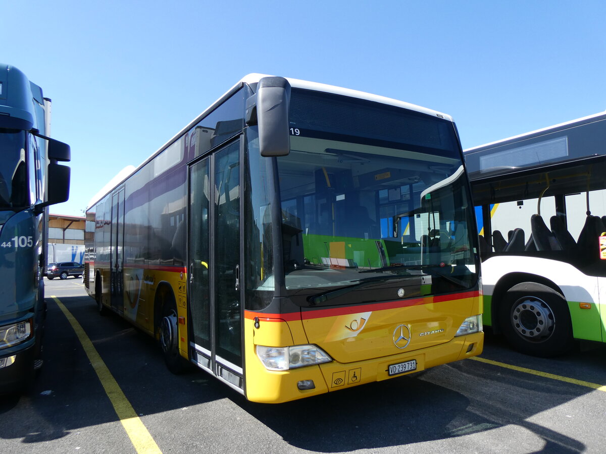 (262'277) - CarPostal Ouest - VD 239'731/PID 5719 - Mercedes (ex Faucherre, Moudon) am 11. Mai 2024 in Kerzers, Interbus