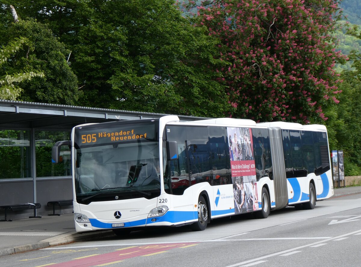 (262'434) - BOGG Wangen b.O. - Nr. 220/SO 120'518 - Mercedes am 16. Mai 2024 beim Bahnhof Olten