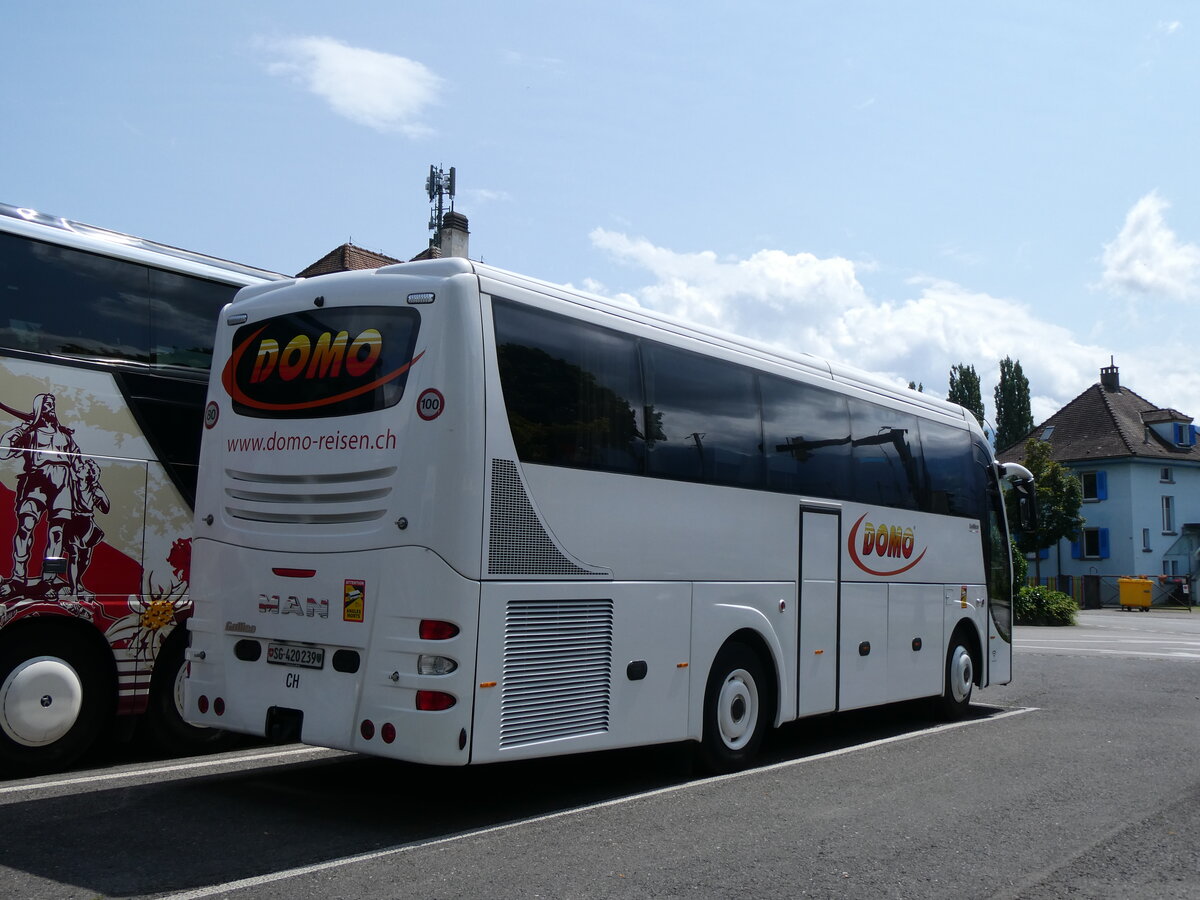 (264'981) - Domo, Glattbrugg - SG 420'939 - MAN am 24. Juli 2024 in Thun, Seestrasse