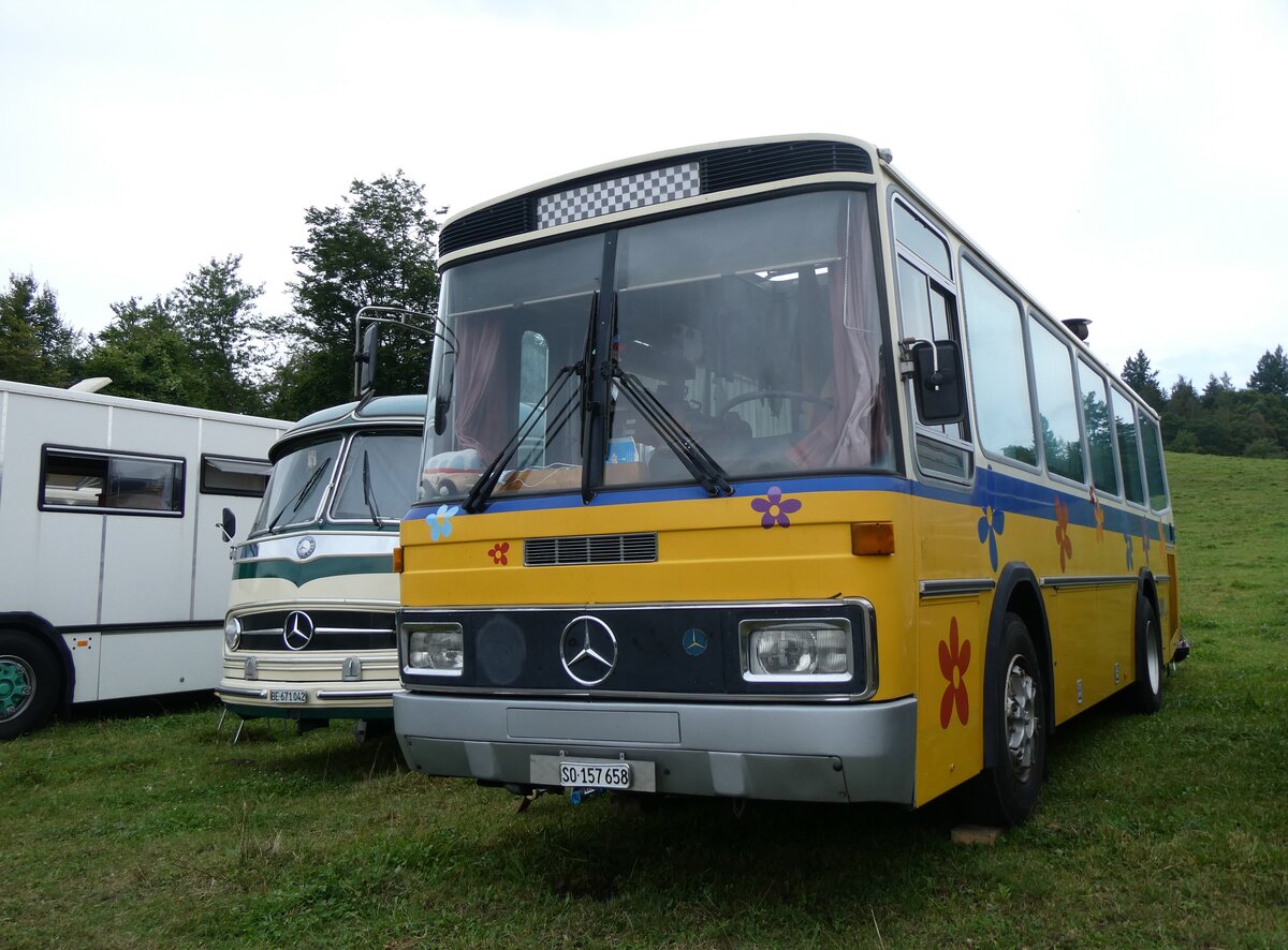 (265'794) - Schoch, Solothurn - SO 157'658 - Mercedes/Tscher (ex Reinhart, Selzach; ex Gessinger, Bad Ragaz) am 17. August 2024 in Neuhausen, Langriet