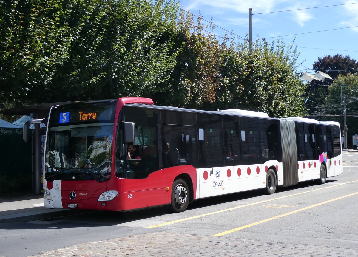 (266'815) - TPF Fribourg - Nr. 565/FR 300'233 - Mercedes am 7. September 2024 in Fribourg, Place Georges Python