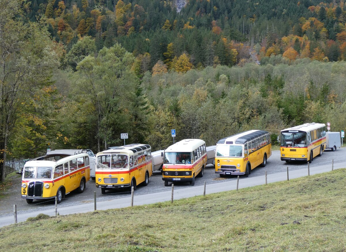 (268'053) - Schmid, Thrishaus - Nr. 3/BE 26'760 - Saurer/Gangloff (ex Geiger, Adelboden Nr. 3) + Nr. 9/BE 26'105 - Saurer/R&J (ex Geiger, Adelboden Nr. 9) + aus Deutschland: Hahn, Mnchen - Nr. 6/M-MB 309H - Mercedes (ex Mller, CH-Ennetmoos Nr. 6; ex Portenier, CH-Adelboden Nr. 6; ex Geiger, CH-Adelboden Nr. 6) + Gast, Reutigen - Nr. 1/BE 24'079 - FBW/FHS (ex Lambach, Gommiswald; ex Hotz, Rickenbach bei Wil/TG; ex P 24'079; ex P 21'579) + Schmid, Thrishaus - BE 26'206 - Saurer/Tscher (ex P 24'244) am 12. Oktober 2024 in Kiental, Tschingelsee