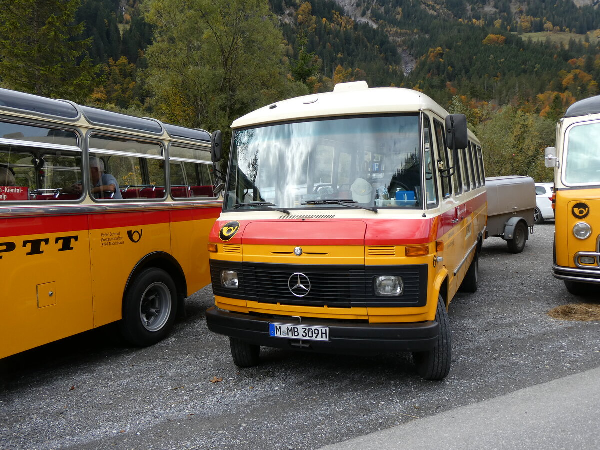 (268'056) - Aus Deutschland: Hahn, Mnchen - Nr. 6/M-MB 309H - Mercedes (ex Mller, CH-Ennetmoos Nr. 6; ex Portenier, CH-Adelboden Nr. 6; ex Geiger, CH-Adelboden Nr. 6) am 12. Oktober 2024 in Kiental, Tschingelsee