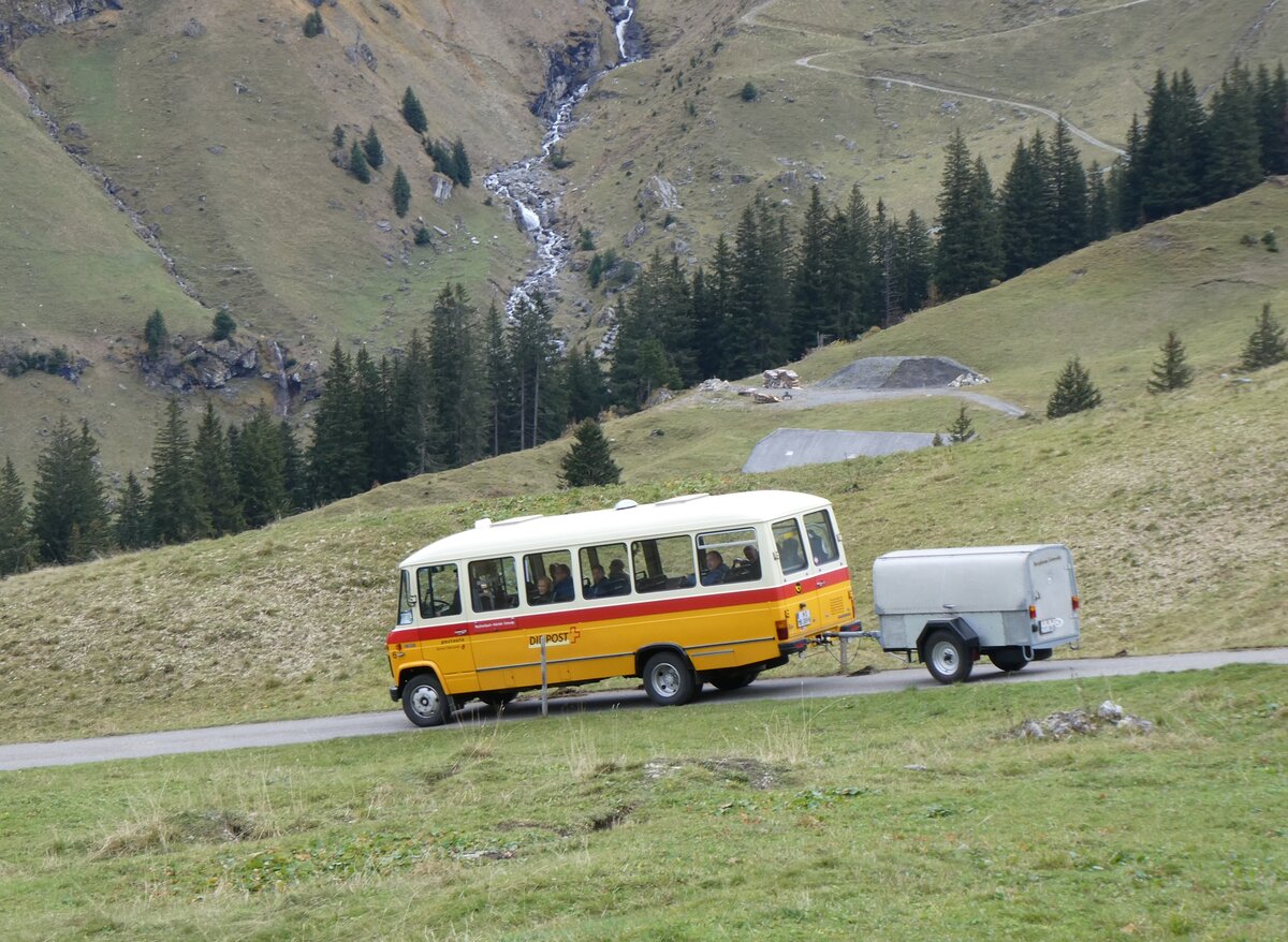 (268'131) - Aus Deutschland: Hahn, Mnchen - Nr. 6/M-MB 309H - Mercedes (ex Mller, CH-Ennetmoos Nr. 6; ex Portenier, CH-Adelboden Nr. 6; ex Geiger, CH-Adelboden Nr. 6) am 12. Oktober 2024 bei der Bundalp