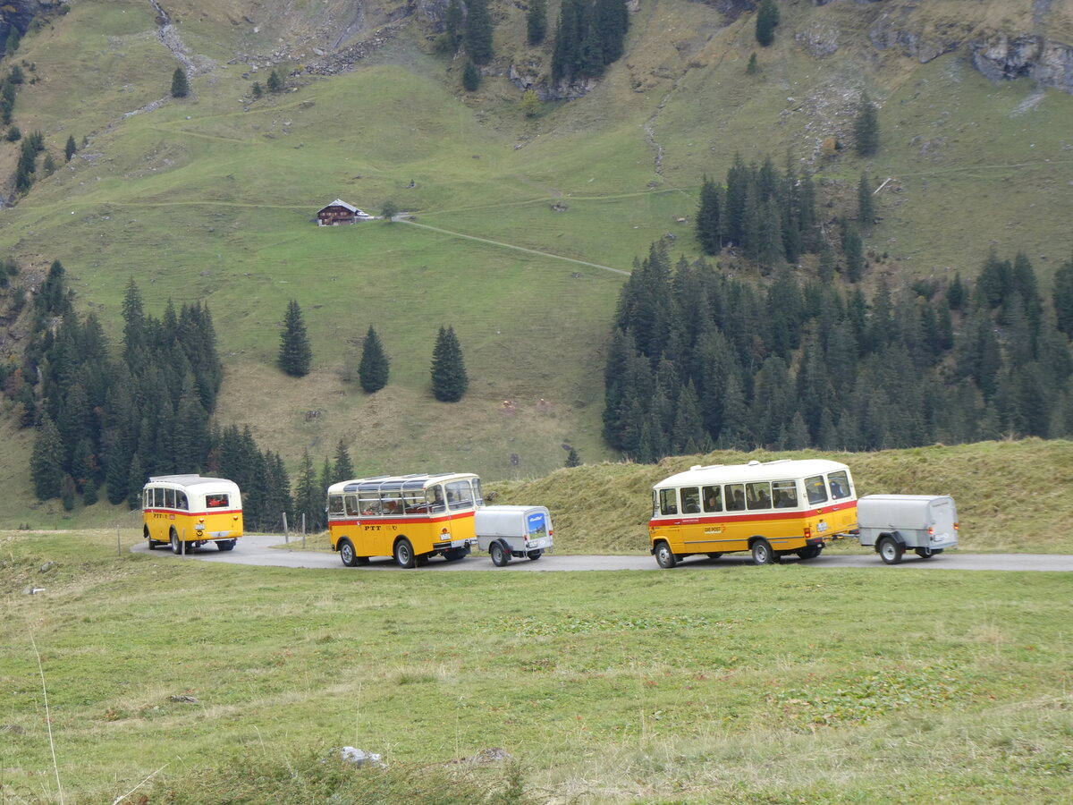 (268'132) - Schmid, Thrishaus - Nr. 3/BE 26'760 - Saurer/Gangloff (ex Geiger, Adelboden Nr. 3) + Nr. 9/BE 26'105 - Saurer/R&J (ex Geiger, Adelboden Nr. 9) + aus Deutschland: Hahn, Mnchen - Nr. 6/M-MB 309H - Mercedes (ex Mller, CH-Ennetmoos Nr. 6; ex Portenier, CH-Adelboden Nr. 6; ex Geiger, CH-Adelboden Nr. 6) am 12. Oktober 2024 bei der Bundalp