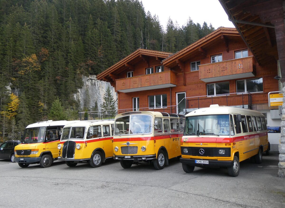 (268'156) - Aus Deutschland: Hahn, Mnchen - Nr. 6/M-MB 309H - Mercedes (ex Mller, CH-Ennetmoos Nr. 6; ex Portenier, CH-Adelboden Nr. 6; ex Geiger, CH-Adelboden Nr. 6) am 12. Oktober 2024 auf der Griesalp