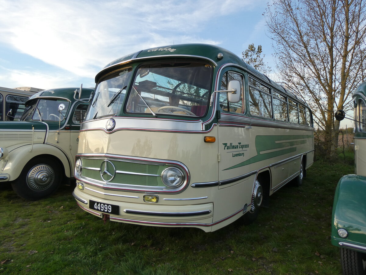 (268'460) - Aus Luxemburg: Carbon, Luxembourg - 44'999 - Mercedes am 25. Oktober 2024 in Kintzheim, Cigoland