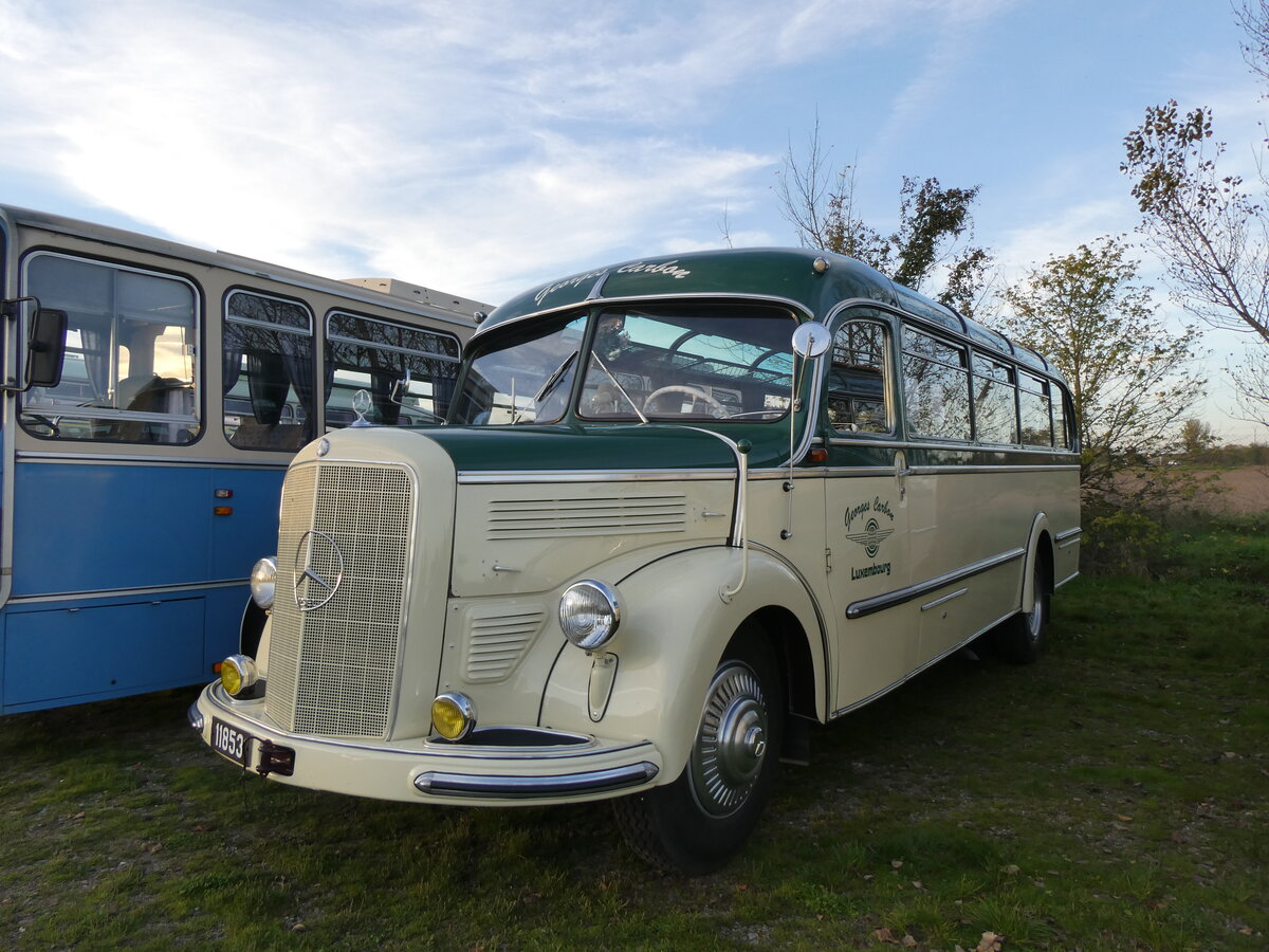 (268'461) - Aus Luxemburg: Carbon, Luxembourg - 11'853 - Mercedes am 25. Oktober 2024 in Kintzheim, Cigoland