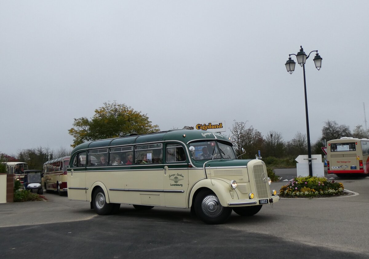 (268'599) - Aus Luxemburg: Carbon, Luxembourg - 11'853 - Mercedes am 26. Oktober 2024 in Kintzheim, Cigoland