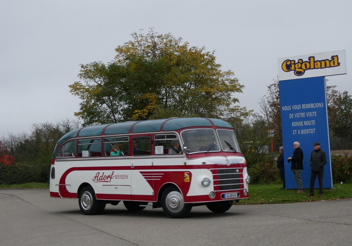 (268'609) - Aus Deutschland: Adorf-Reisen, Dsseldorf - D-SH 6H - Neoplan/Auwrter am 26. Oktober 2024 in Kintzheim, Cigoland