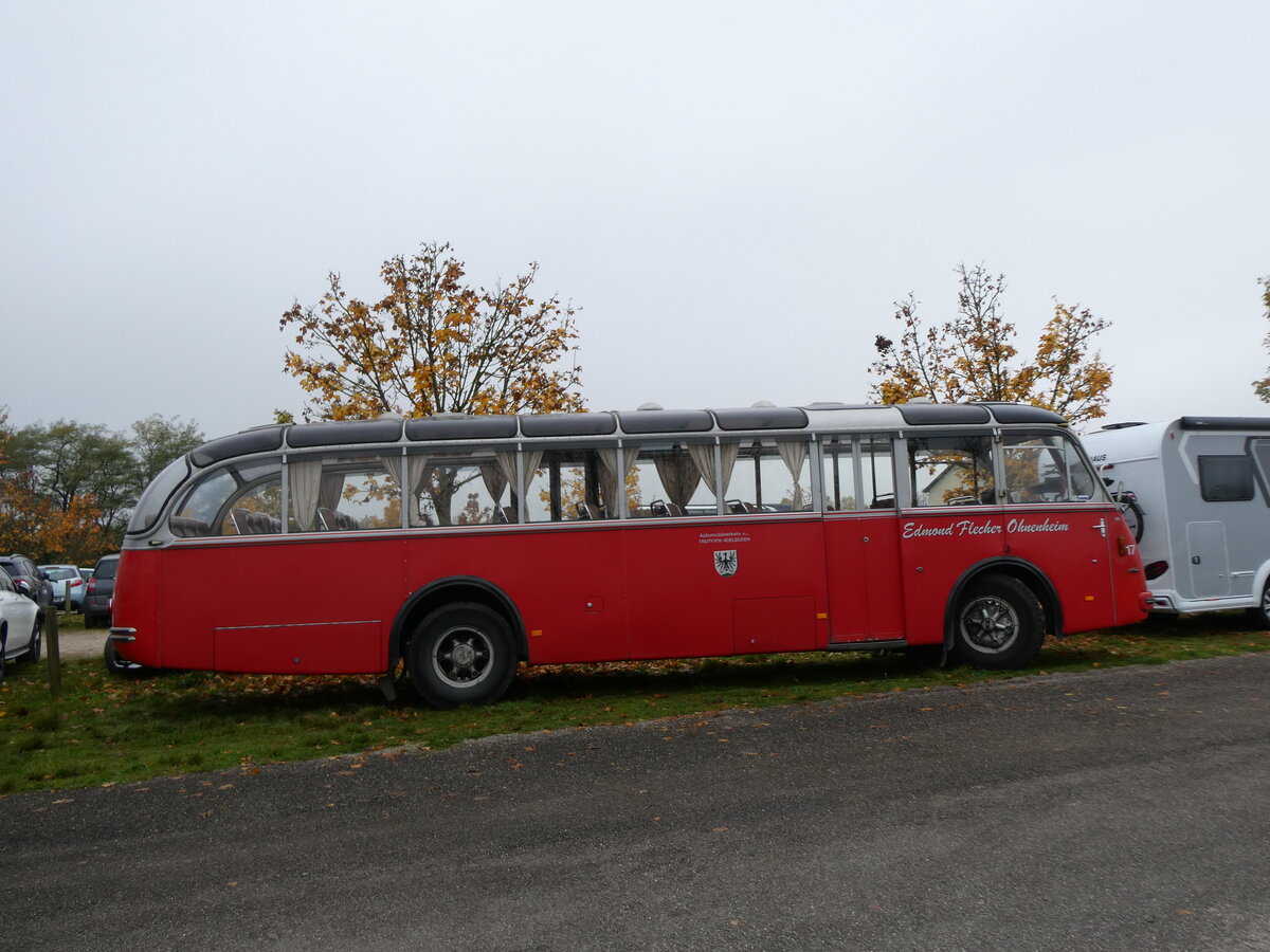 (268'638) - Flecher, Ohnenheim - Nr. 17/DZ 781 VL - FBW/Gangloff (ex FRAM Drachten/NL Nr. 17; ex AFA Adelboden/CH Nr. 3) am 26. Oktober 2024 in Kintzheim, Cigoland